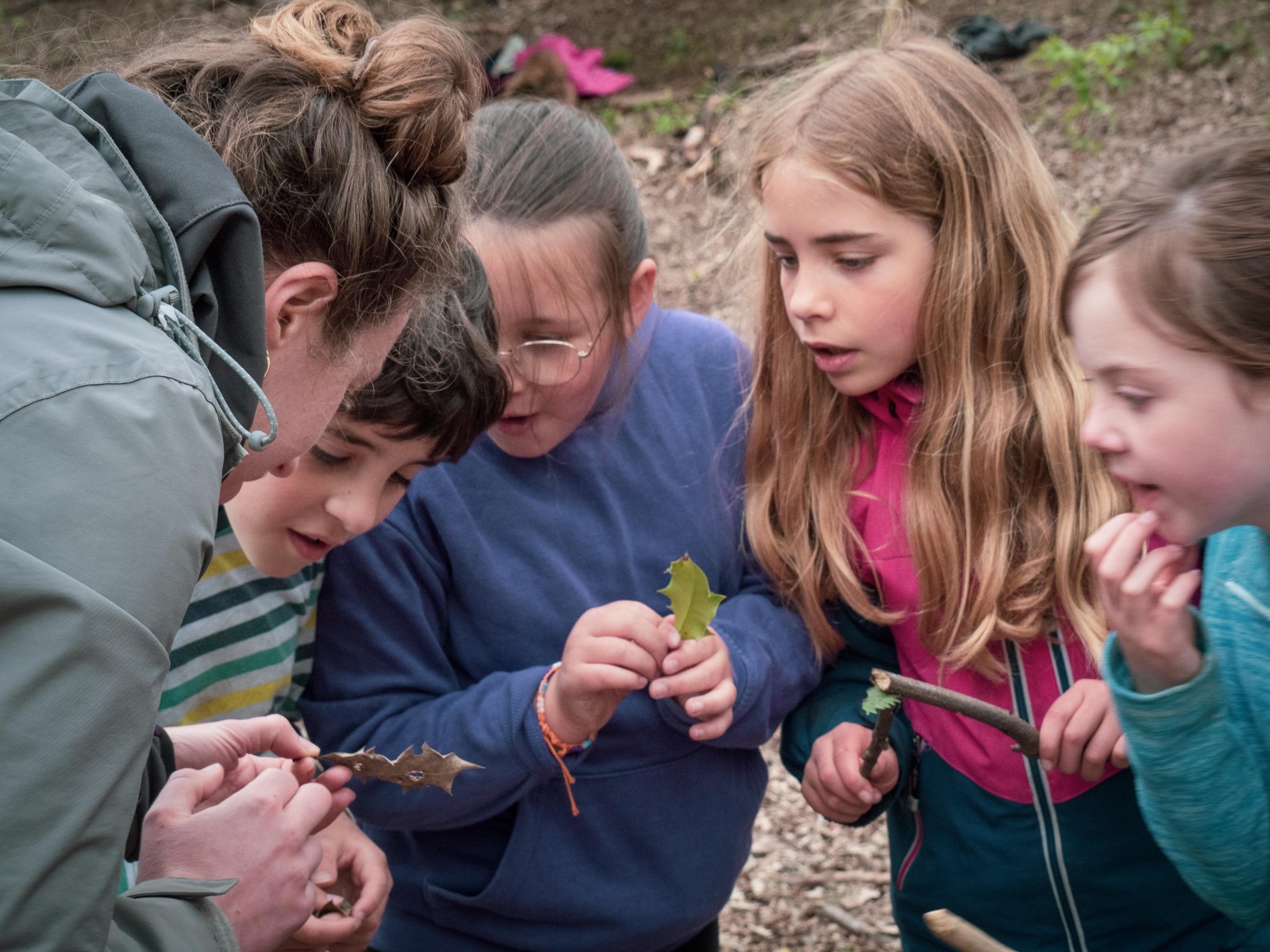 group of children with adult looking at holly leaf