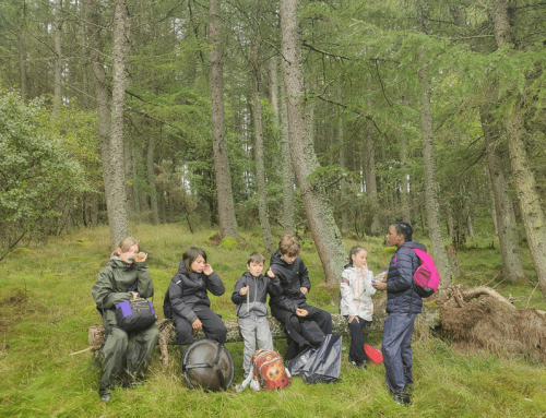 Summer partnerships to reach and support